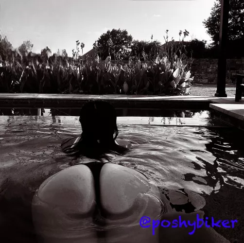 Anyone for a dip..