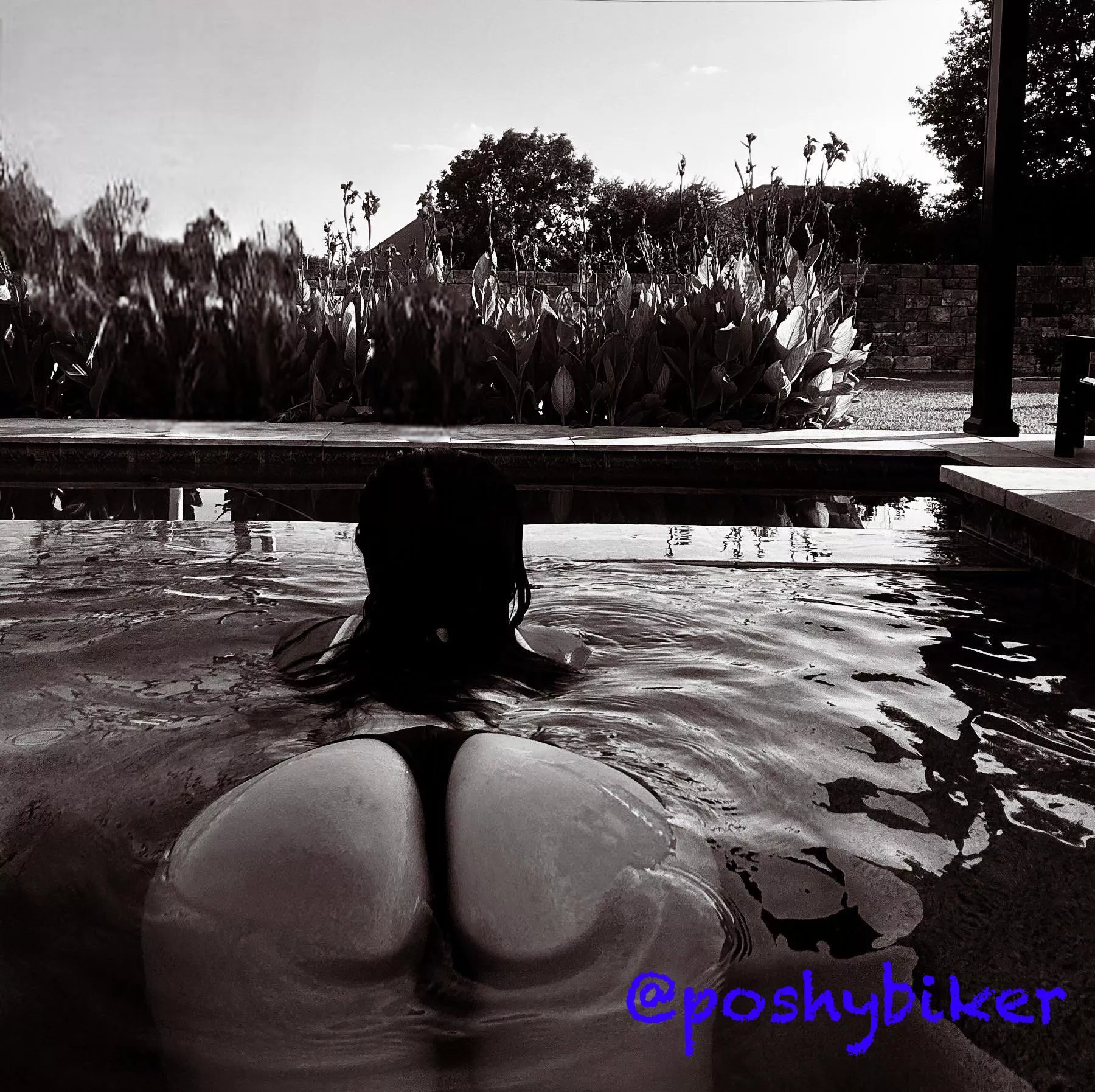 Anyone for a dip..