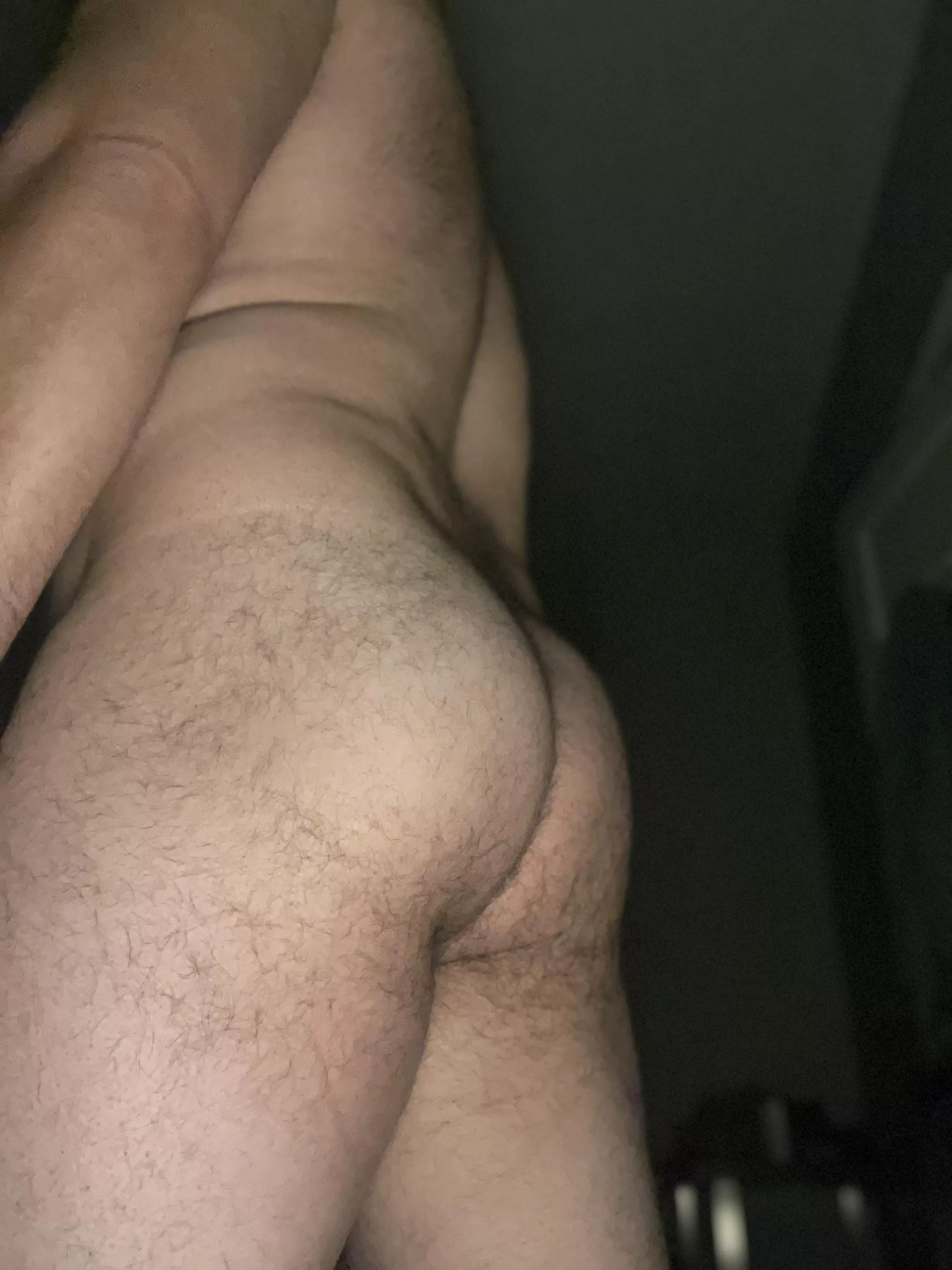 Anyone like hairy butts?