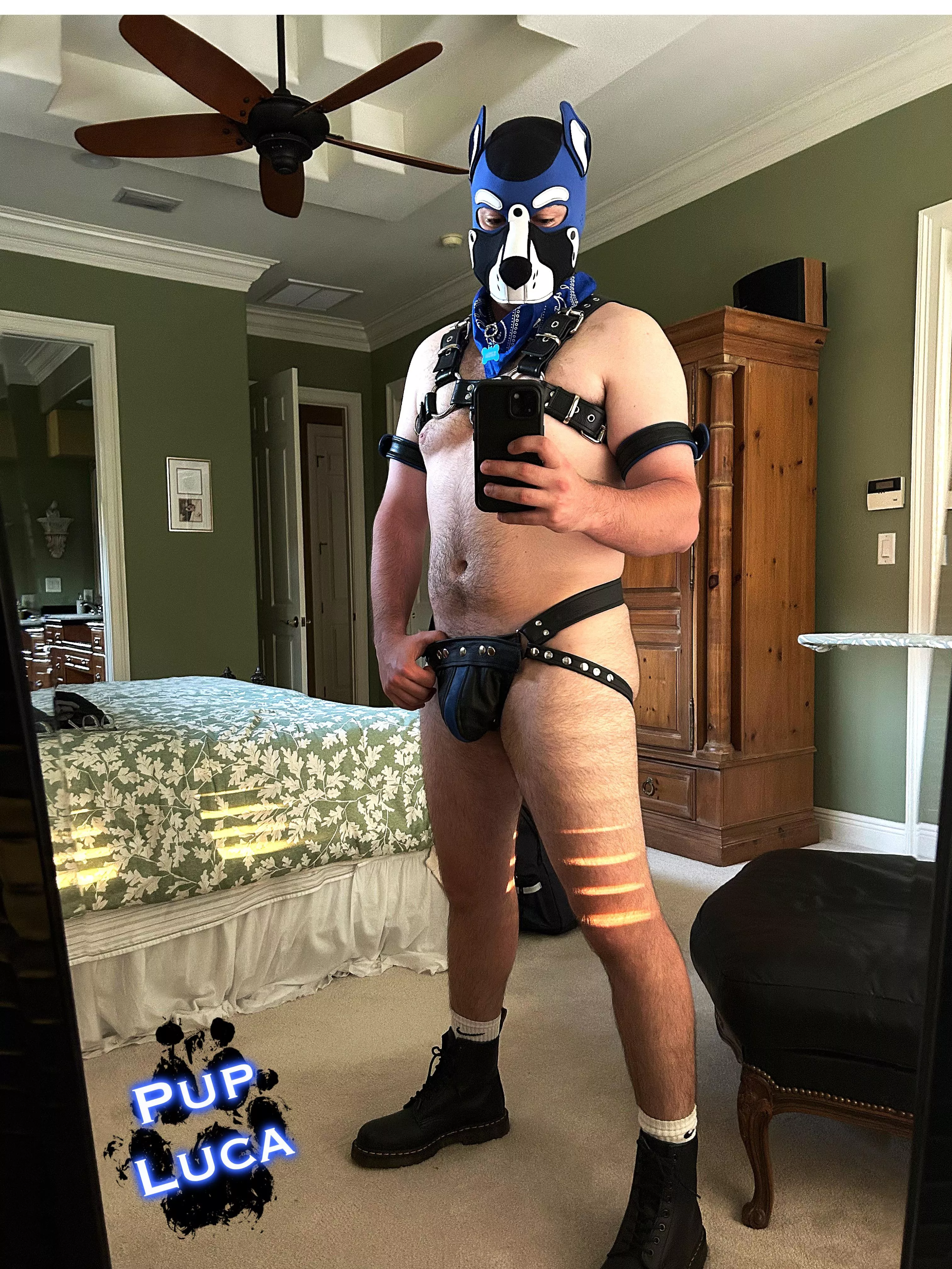 Anyone missing a leather pup?😈🐶