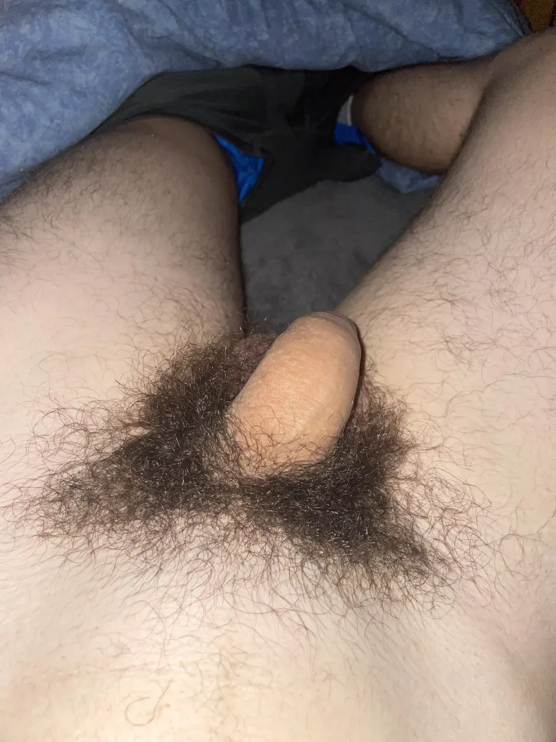 Anyone wanna seen it hard and compare with me ? (French and hairy is a +)