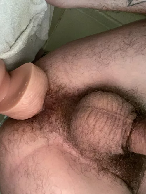 anyone want to replace my dildo? 😈