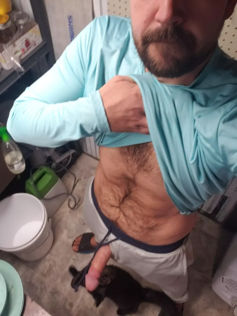 appears i attracted the wrong kind of pussy this morning (36) (m)