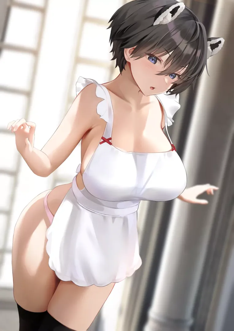 Apron