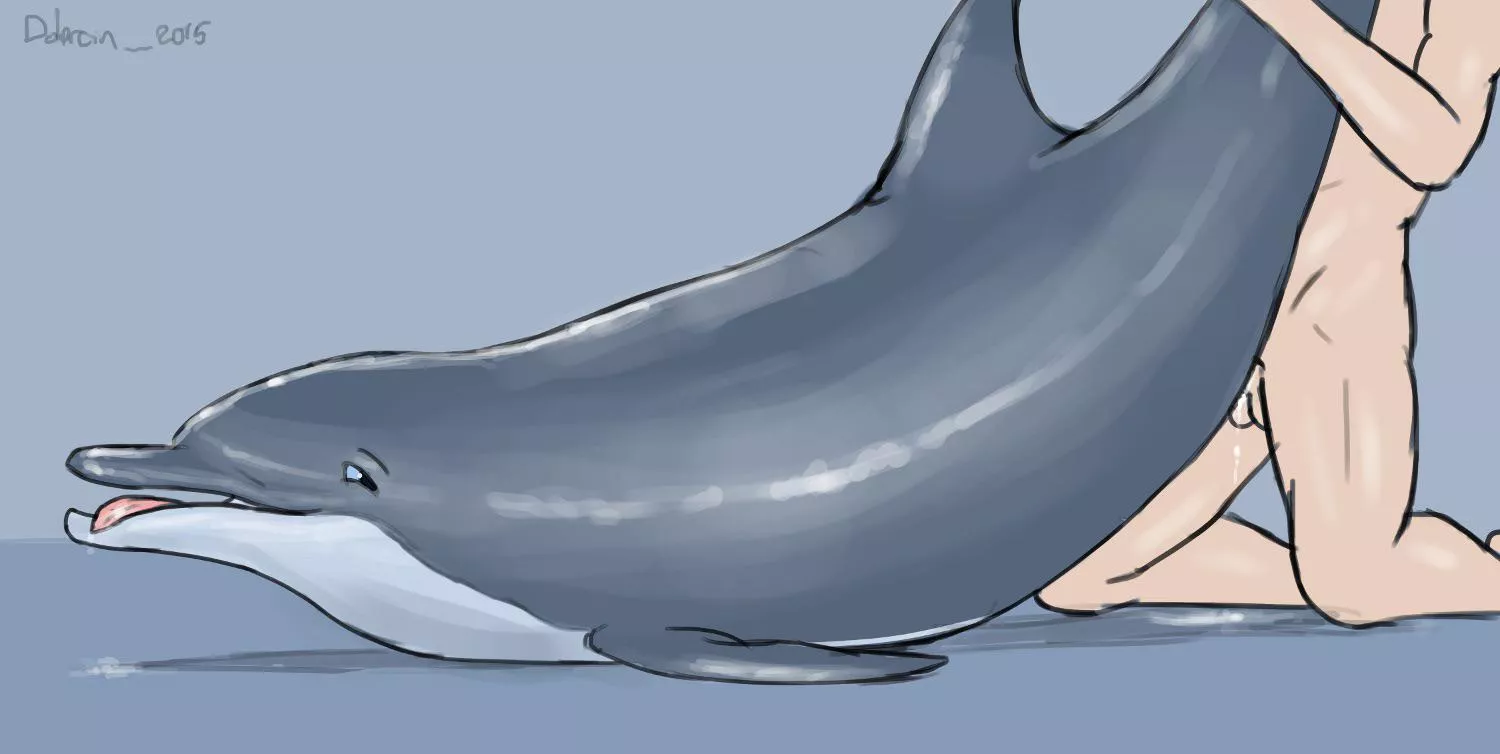 Aquatic fun