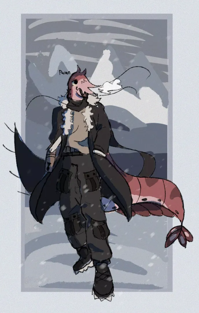 Arctic shrimp