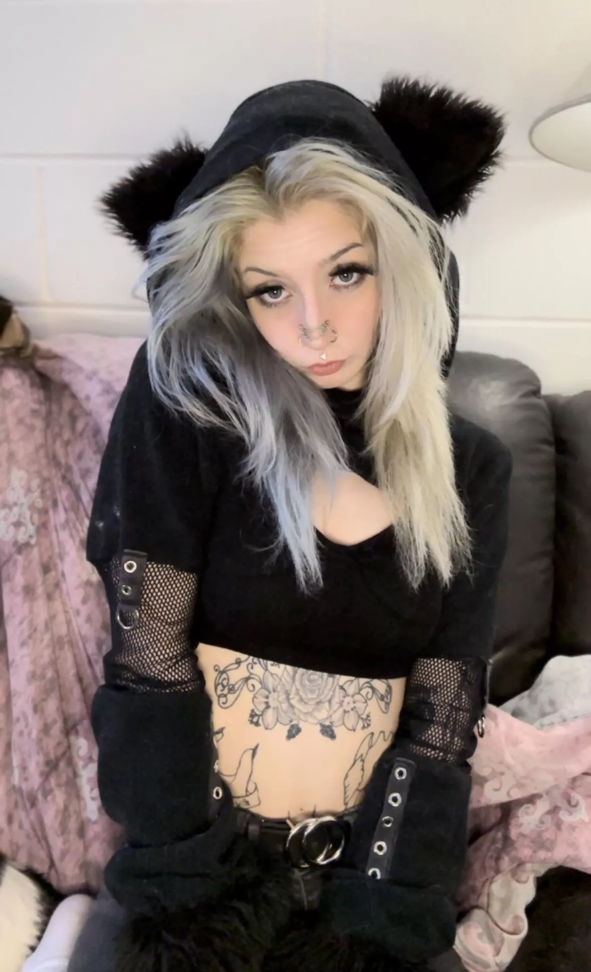 are cat girls ruining your life?