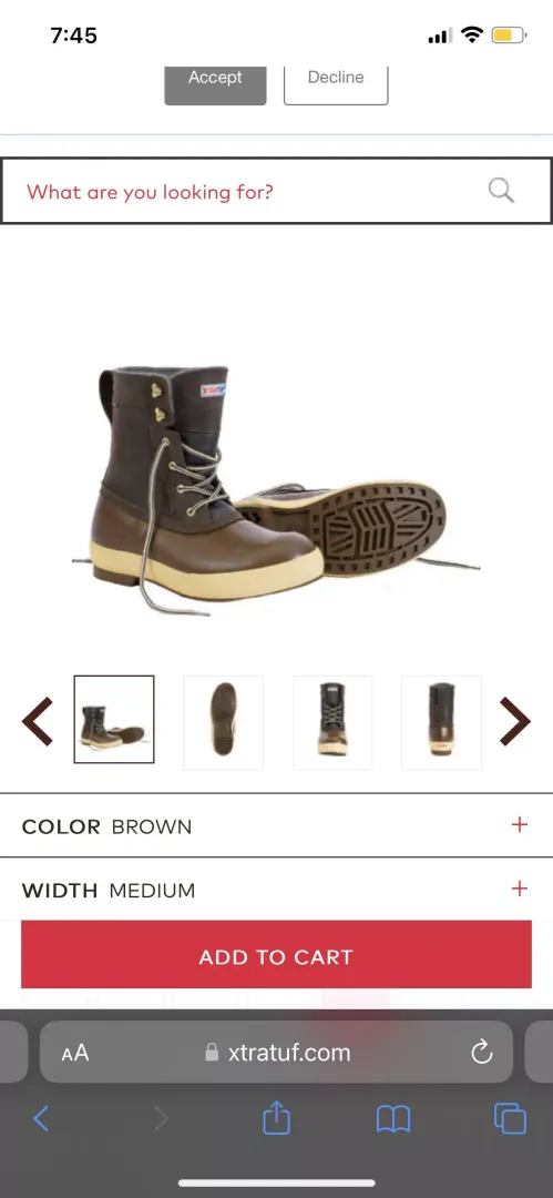 Are these any good?