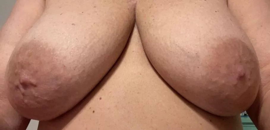 Are they big enough