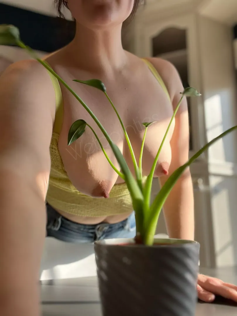 Are y’all fans of torpedo tits here?