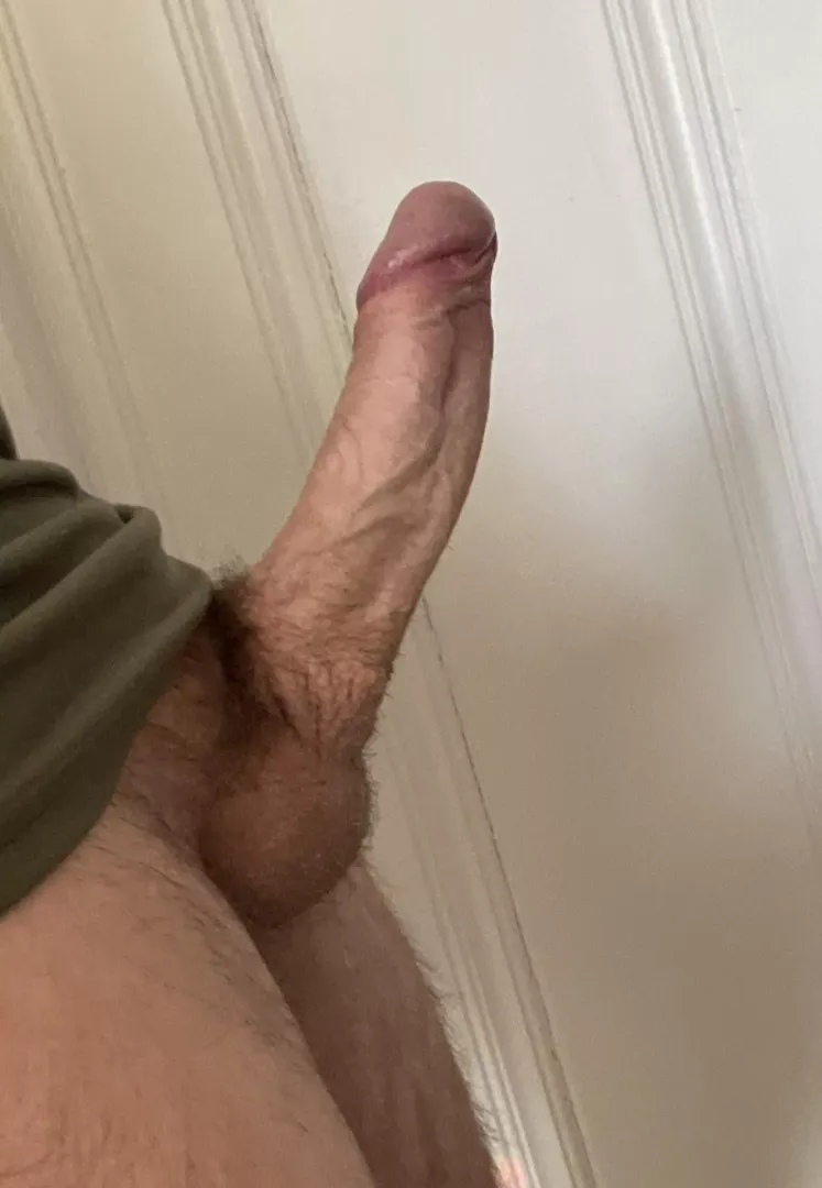 Are you curious?