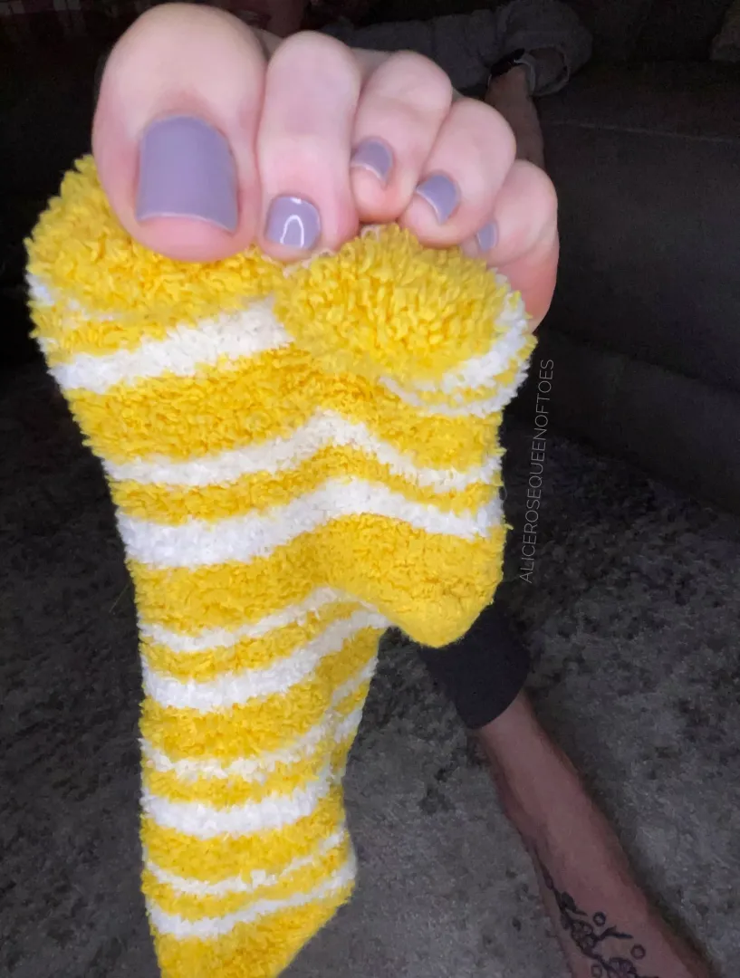 Are you going for my toes or my sock first?🤔