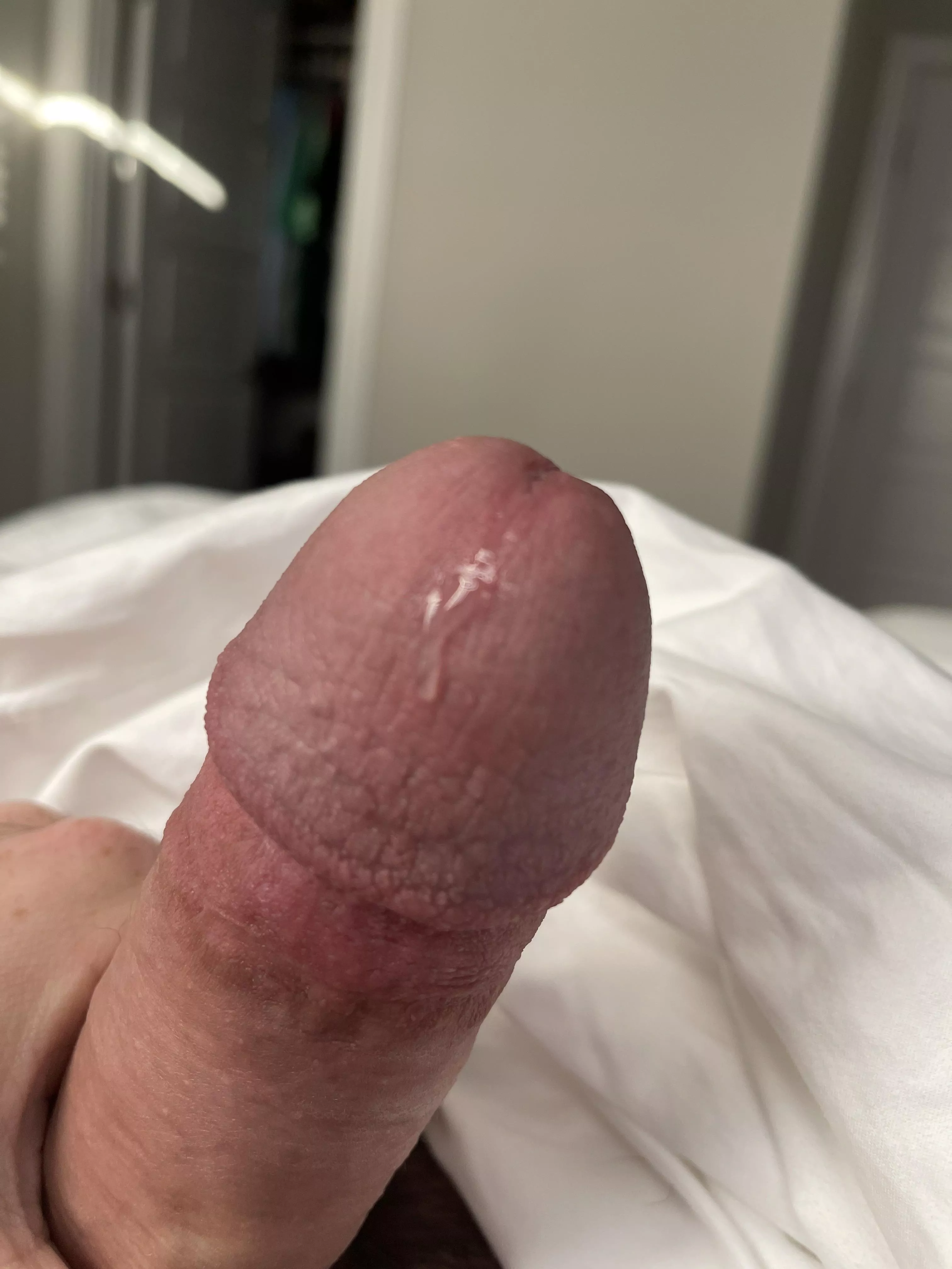 Are you going to lick that up?