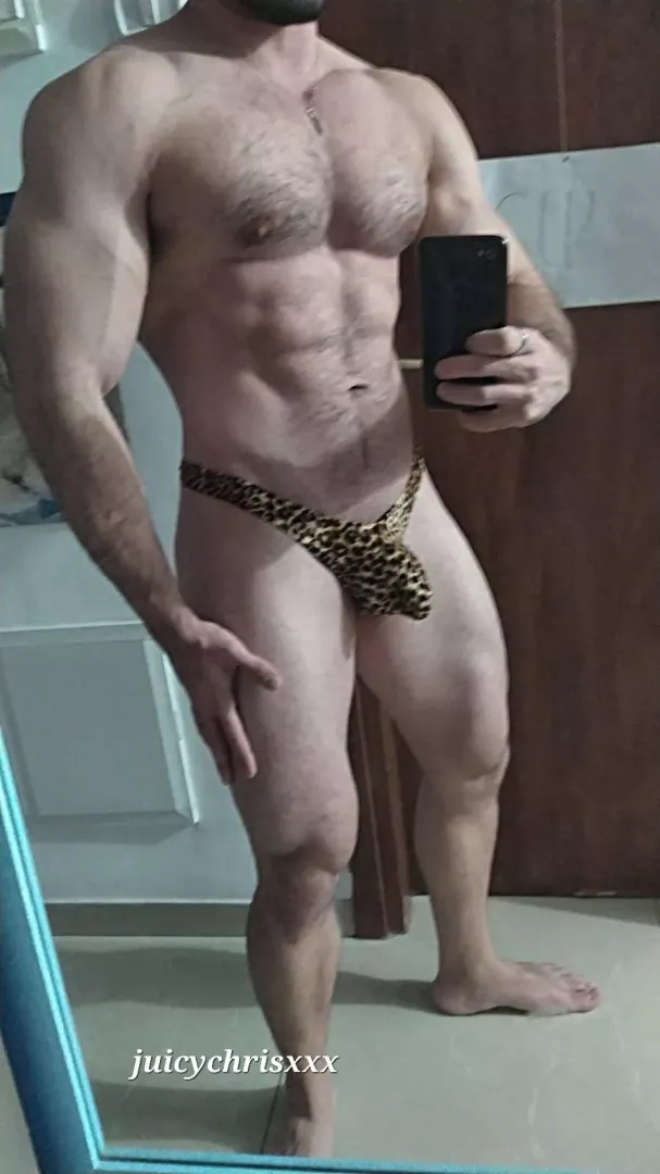 are you ready boy?