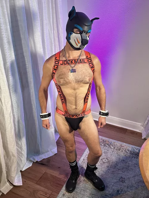 Arf! 42 silver daddy pup, what do you think of my new outfit?