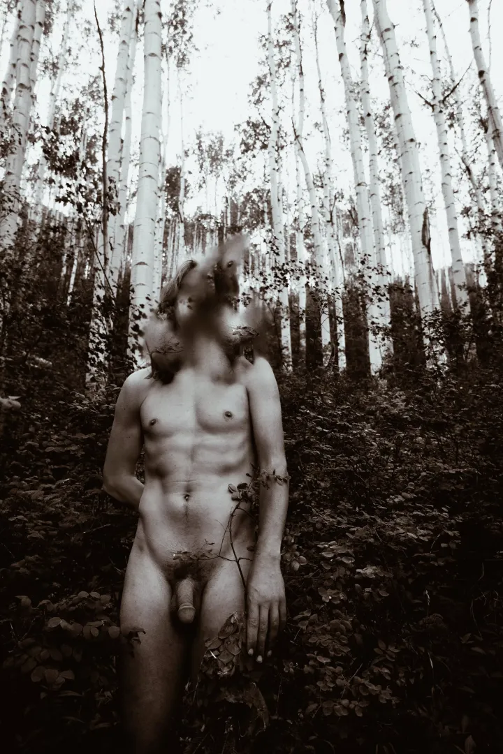Aspen stand.