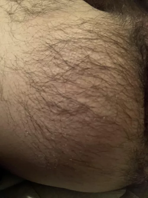 Ass