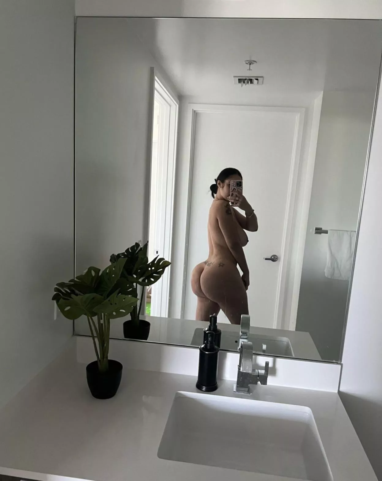 🪞 Ass