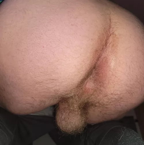 Ass and balls for you