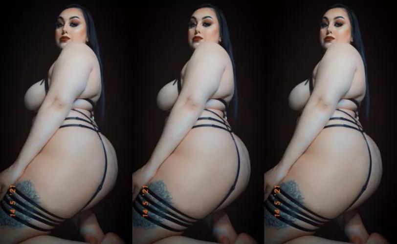 ass or titties: pick one