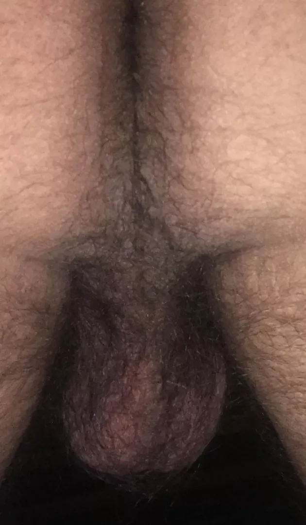 Asshole & balls…..
