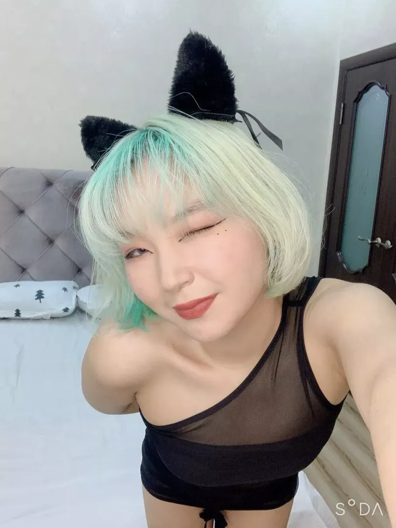 Asuan kitty