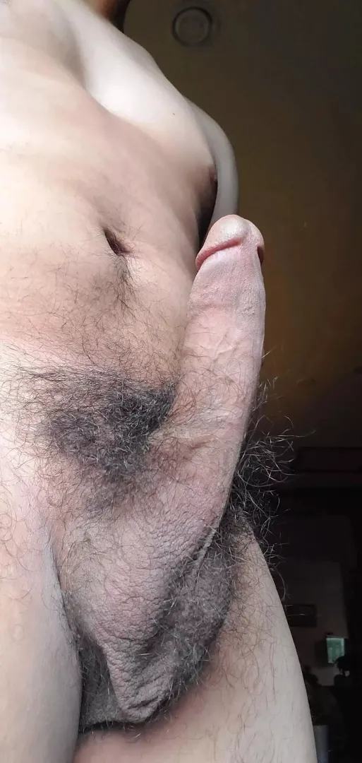at attention! hairy cock