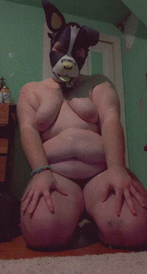 At your service alpha