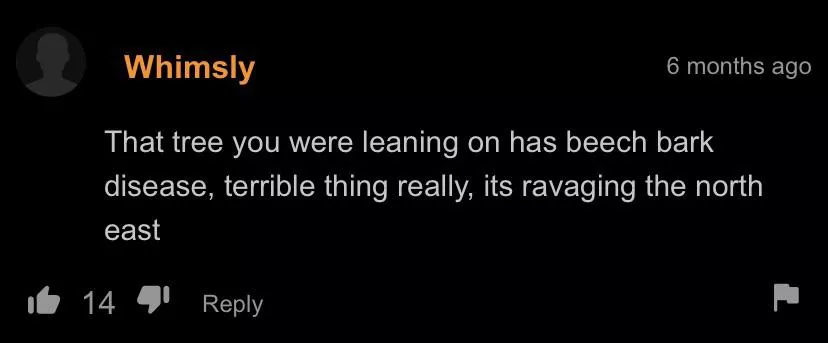 Attention to detail