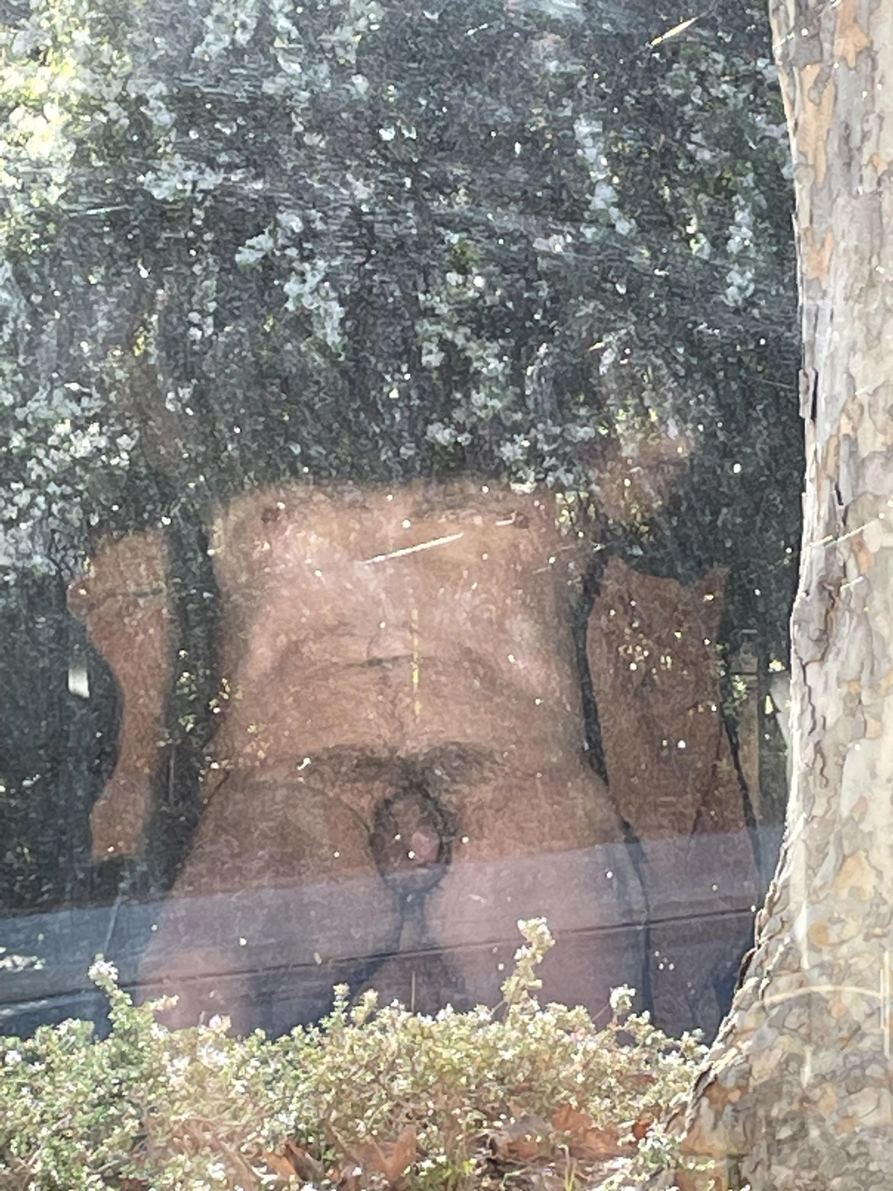 au naturel