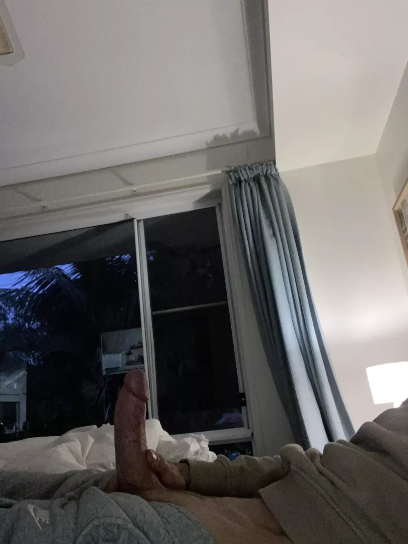 Aussie cock