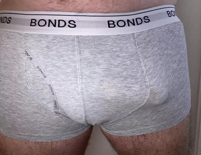 Aussie experienced bull visiting St Louis in early May. Seeking ladies or couples for mutual fun. Can host. Can’t wait!