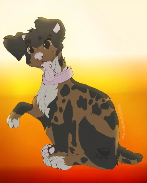 Aussie the Ridgeback Australian Shepard