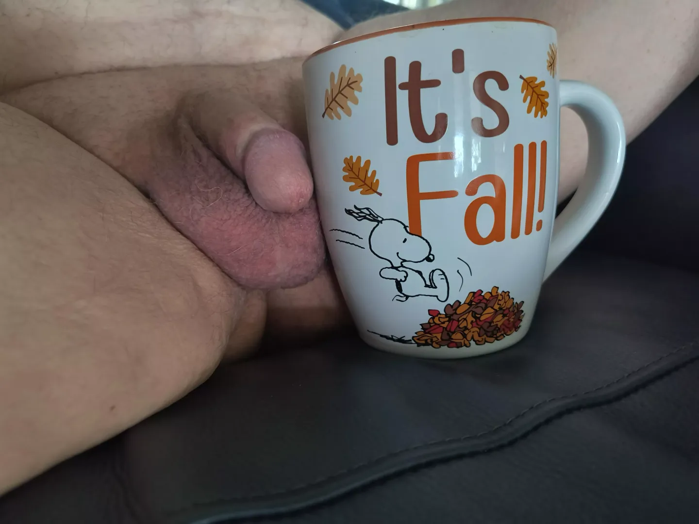 Autumn is here....