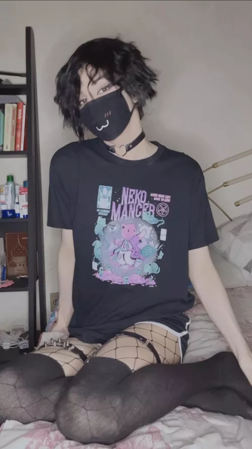 Average kitty enioyer 😸