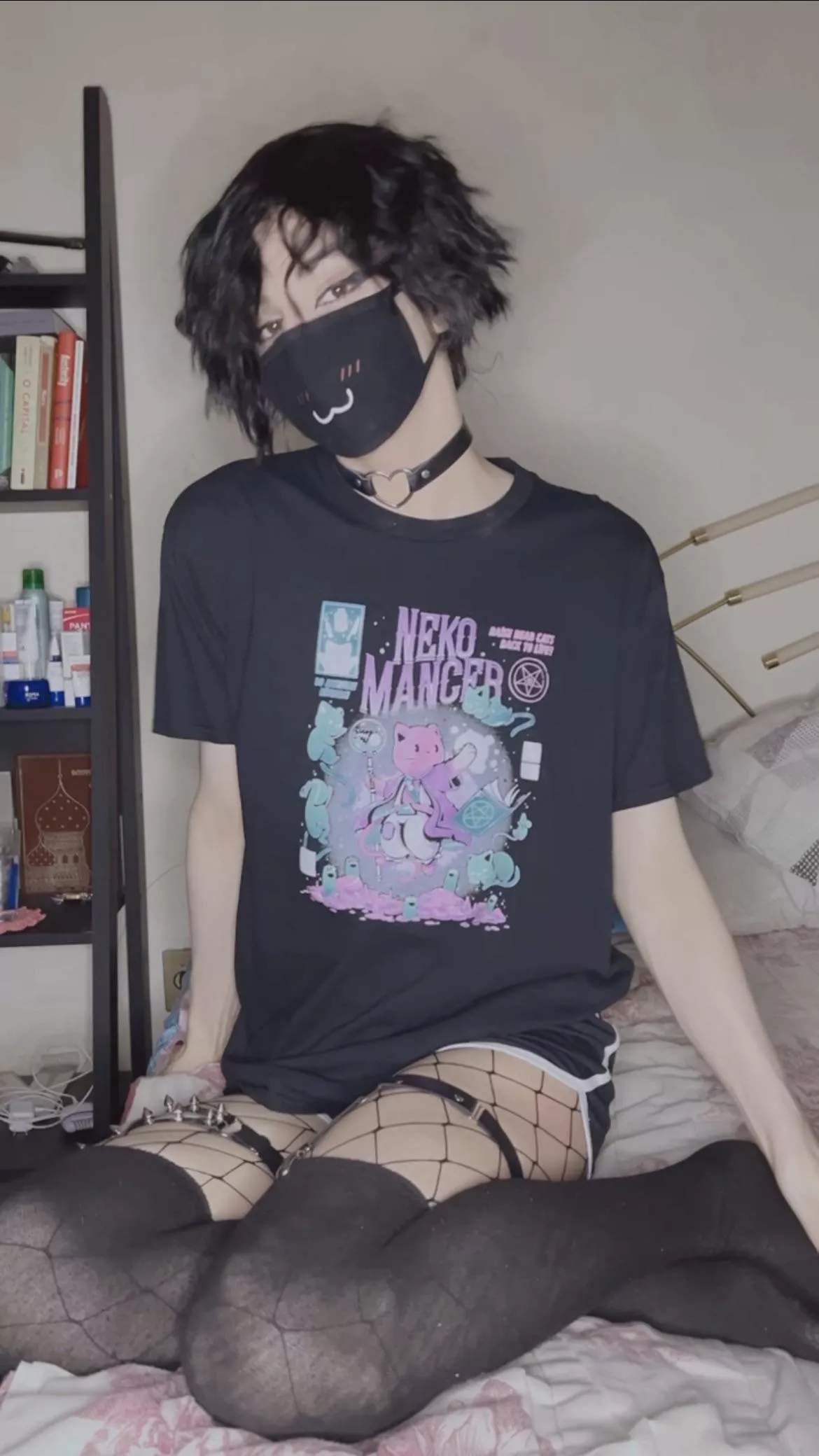 Average kitty enioyer 😸