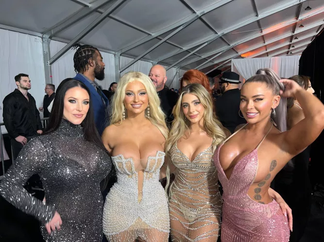 AVN Awards