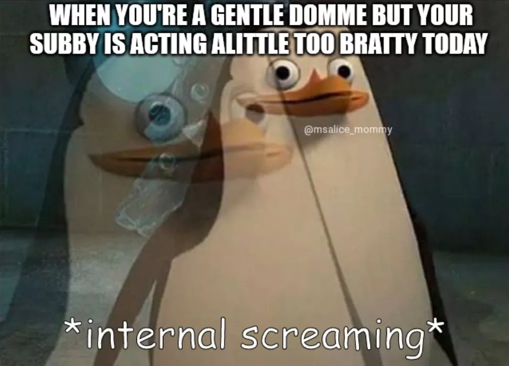 aw shit here we go again *cracks out whip*