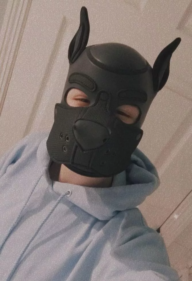 Awoo? 🐾