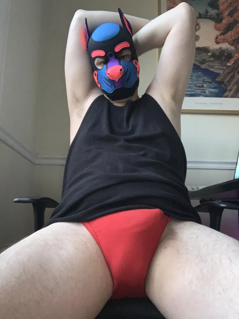 Awooo~