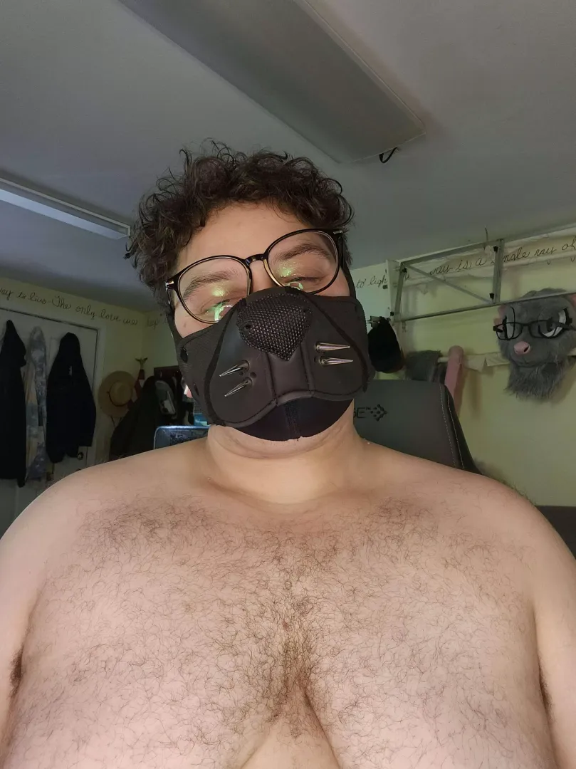 awruff