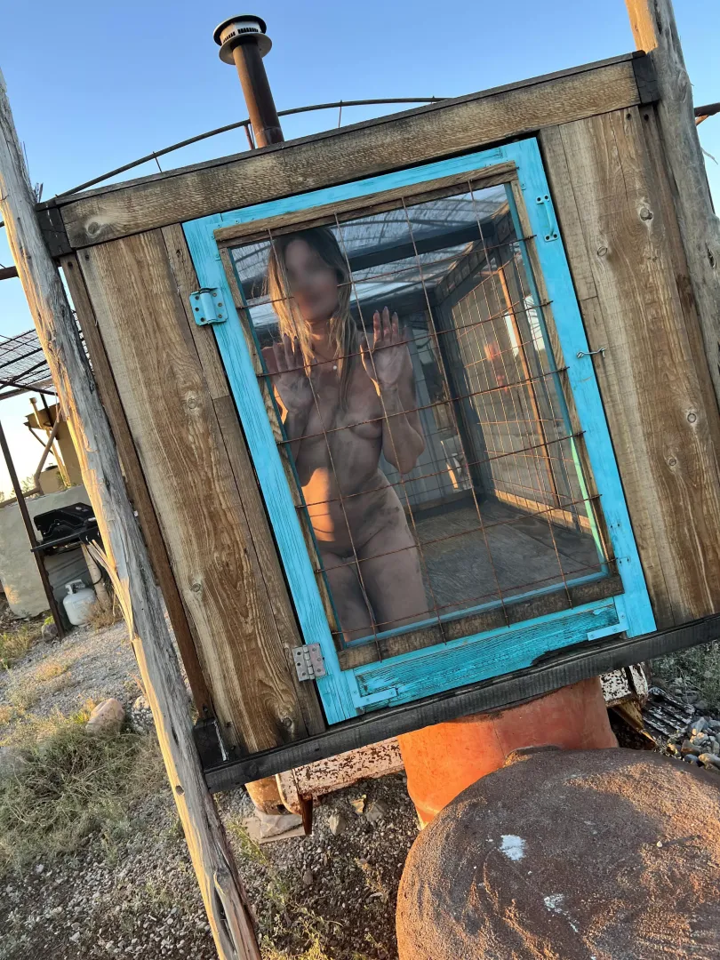 Aww, it wants out