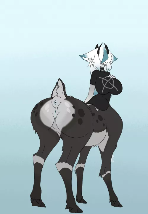 Ayla the 