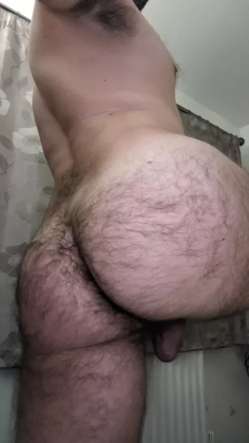 Back by popular demand! 