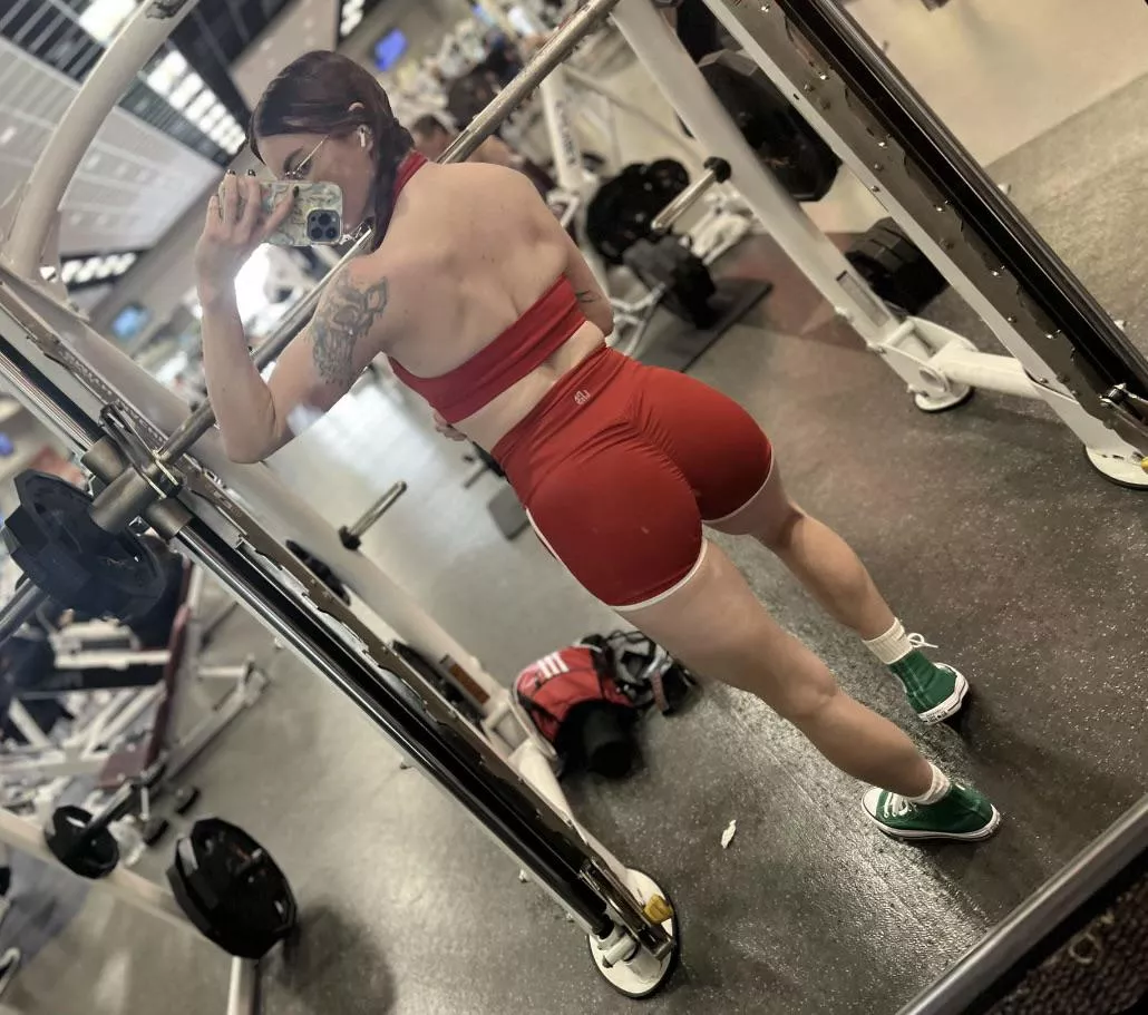 Back day done