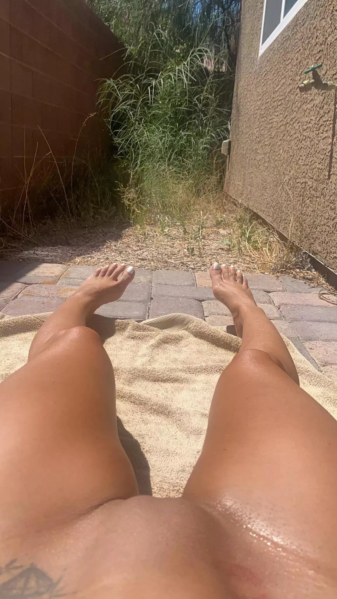 Backyard Nude