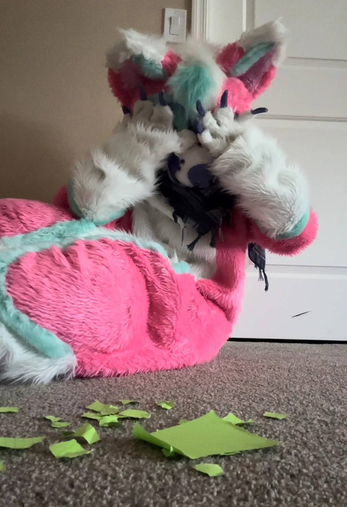 Bad dog!