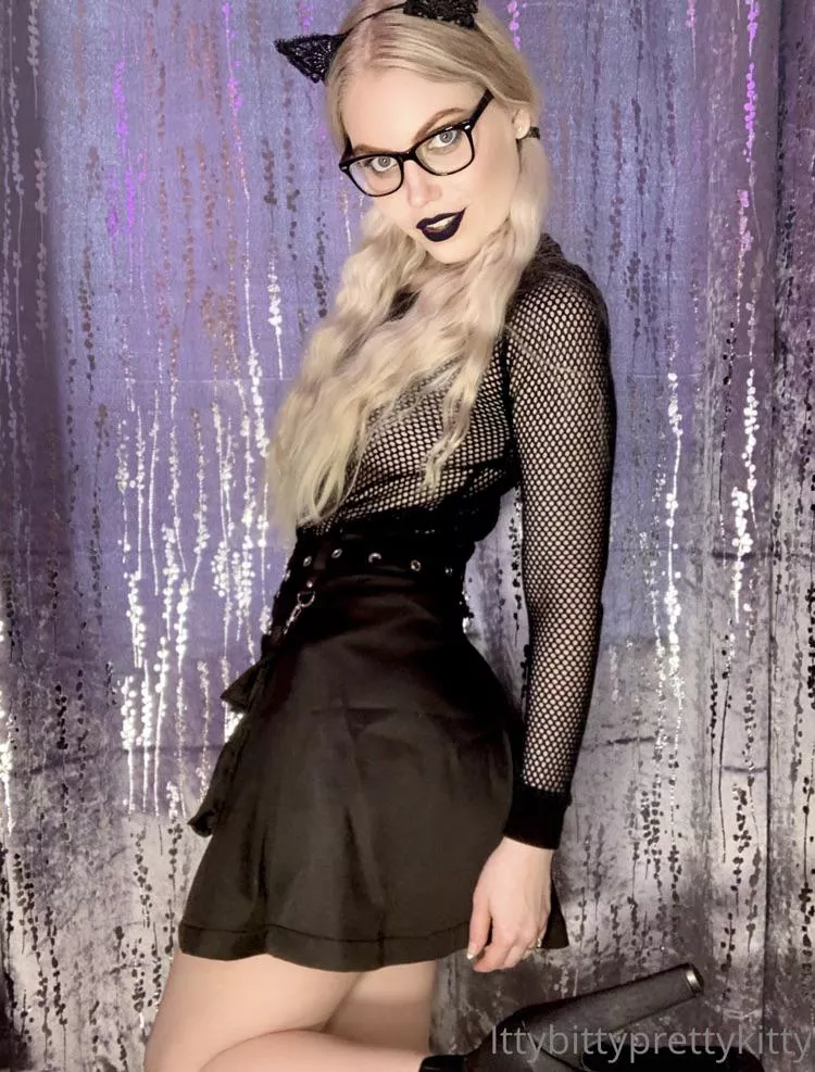 Bad Kitty