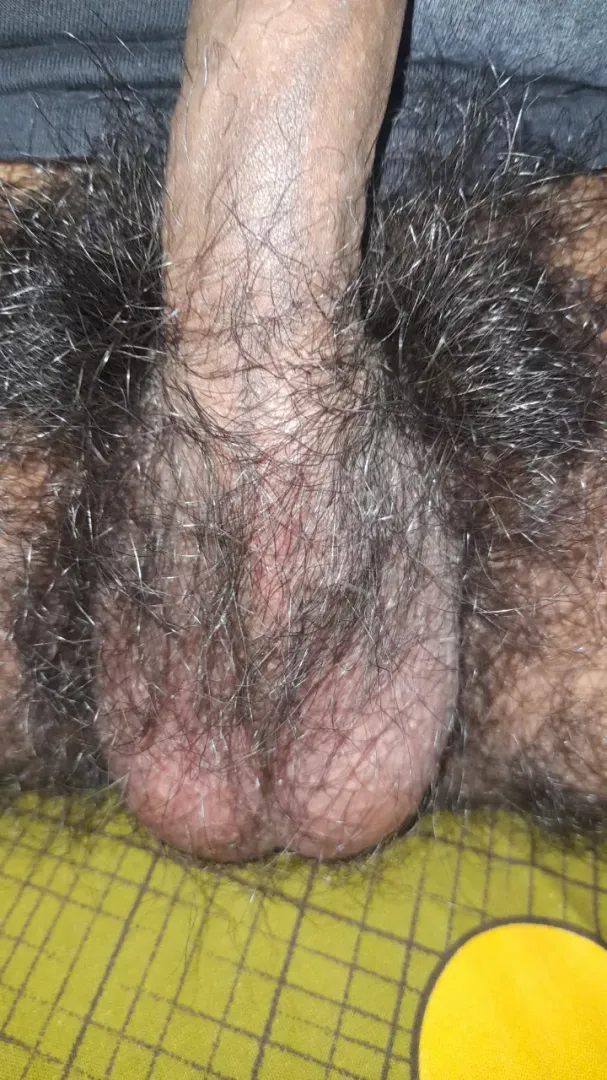 ball in bush