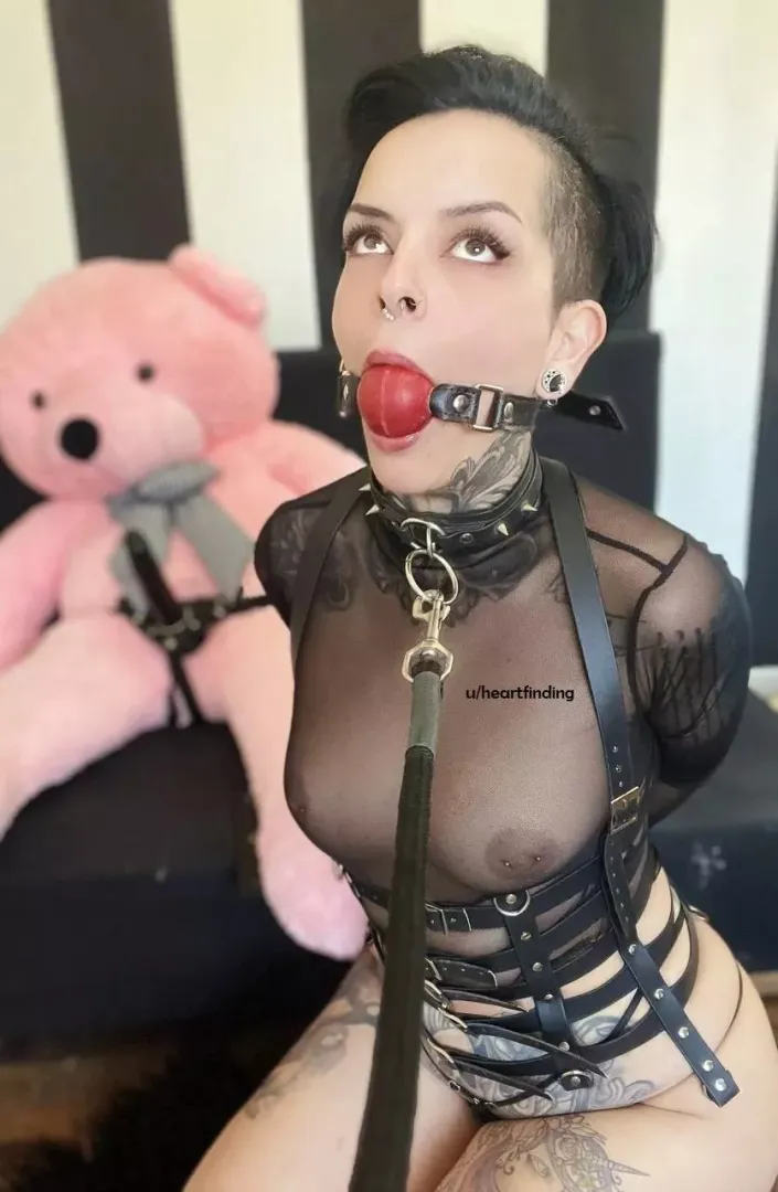 ballgag